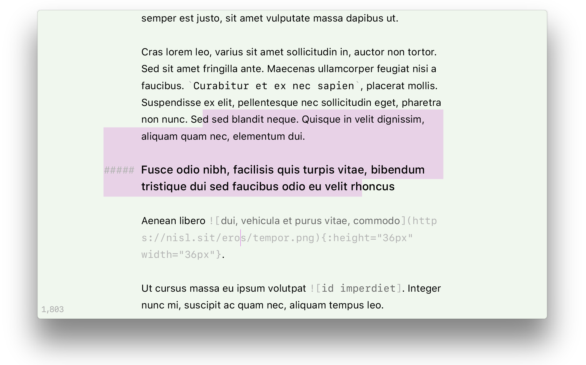 a render of write, the app, showing a text editor with formatted Markdown